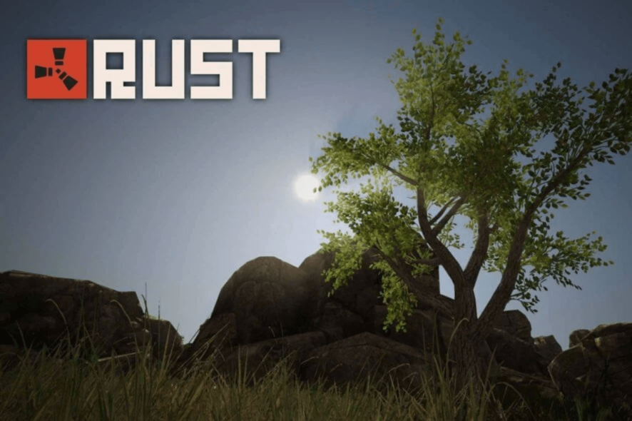vpn rust