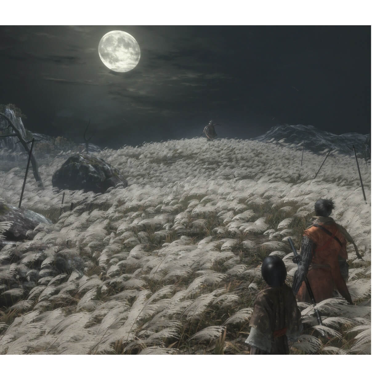 fix sekiro shadows