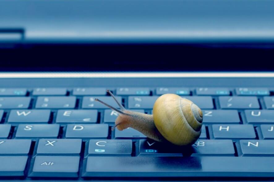 PC lent escargot sur le clavier