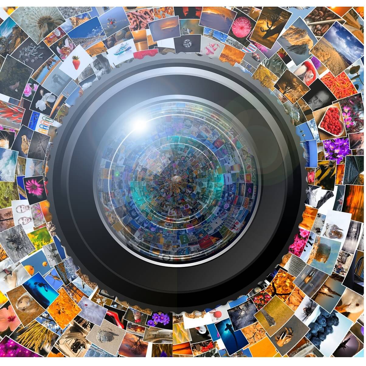 logiciel collage photo