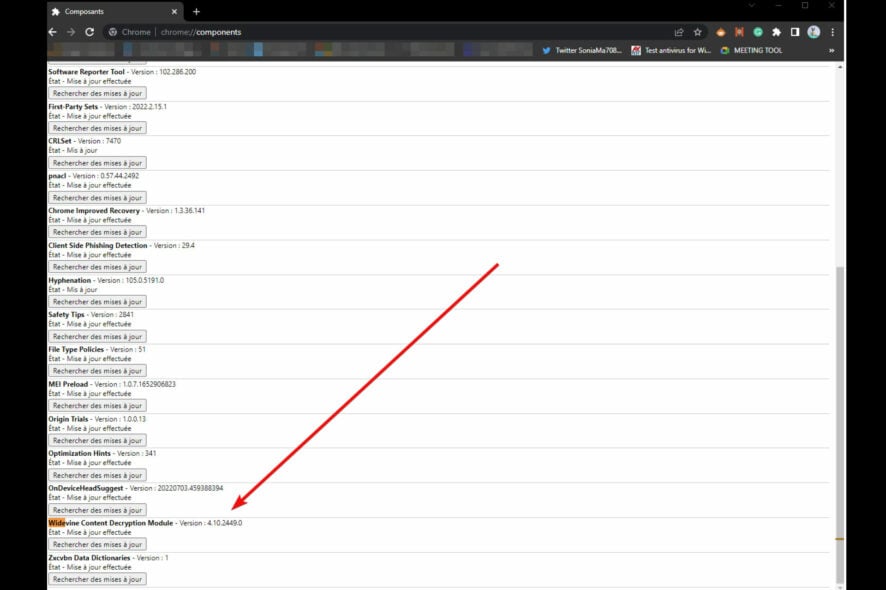 le plugin widevinecdm a planté (widevine content decryption module)