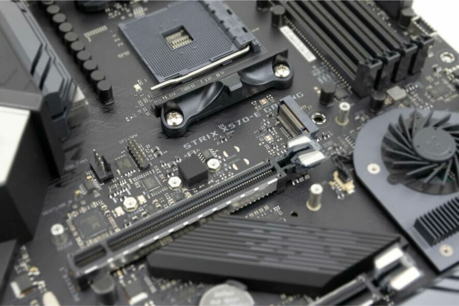 TPM 2.0 scheda AsRock