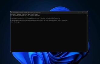 Virus CMD