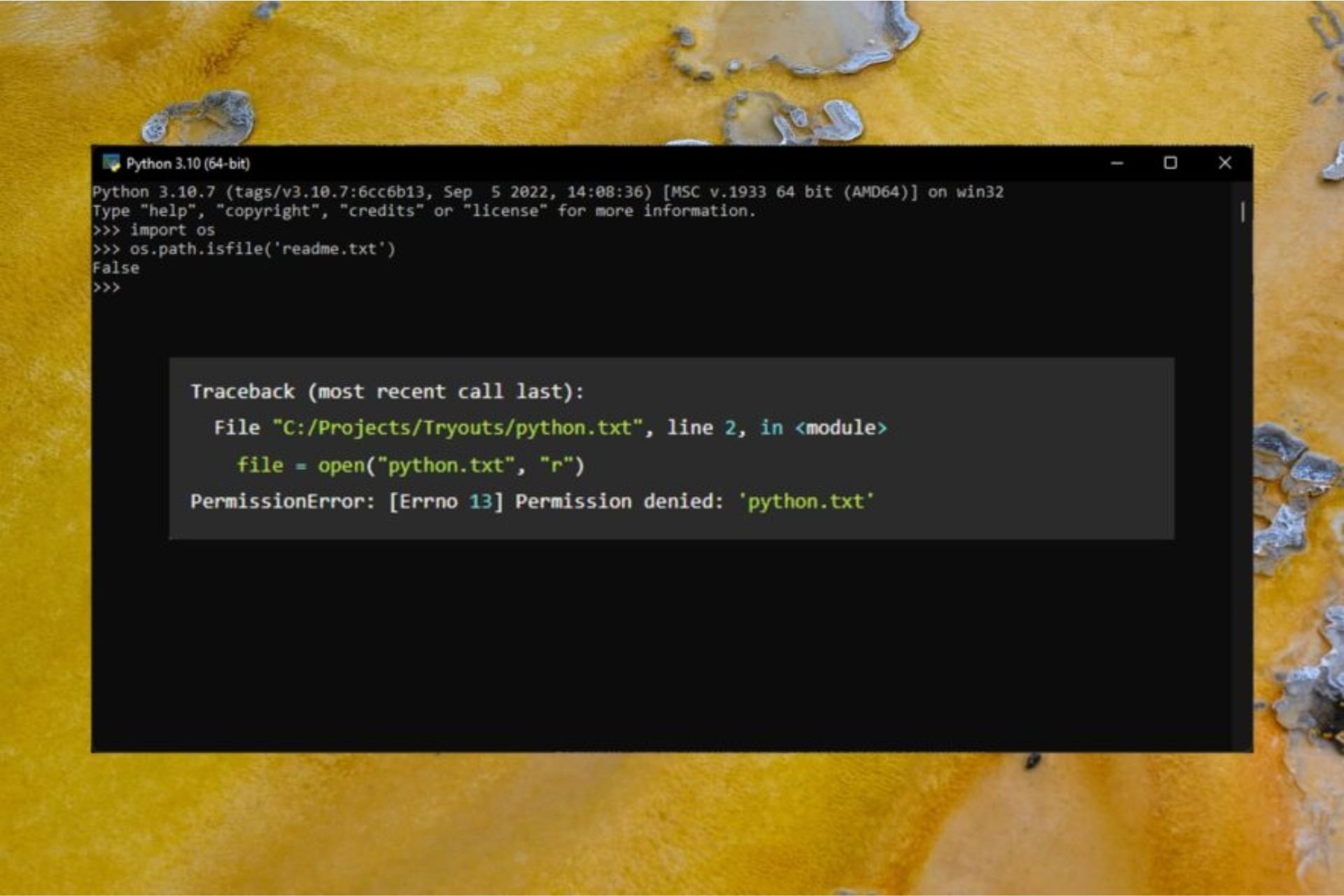 Python