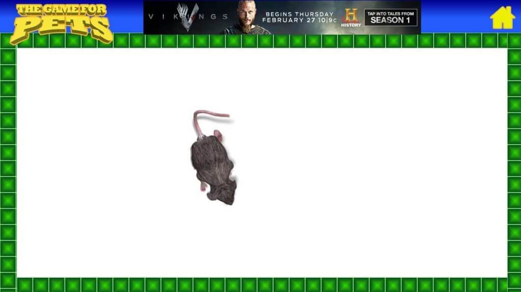 the game for pets mouse chasing windows 10