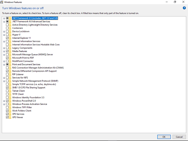 check the net framework related options