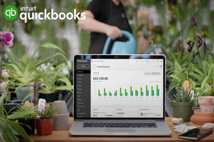 quickbooks entity