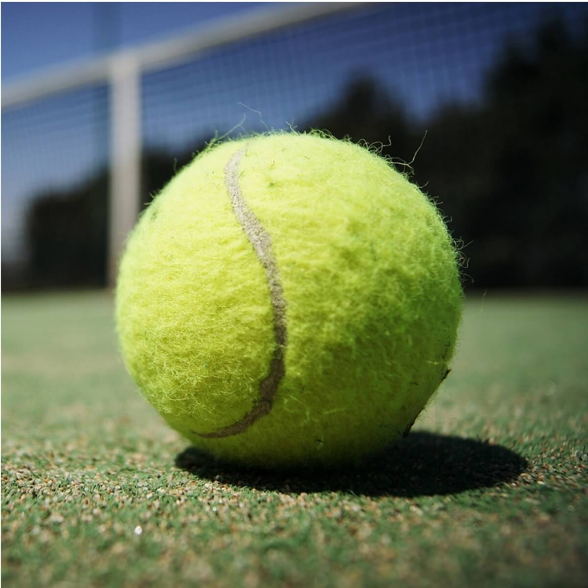 tennis analysis software windows pc