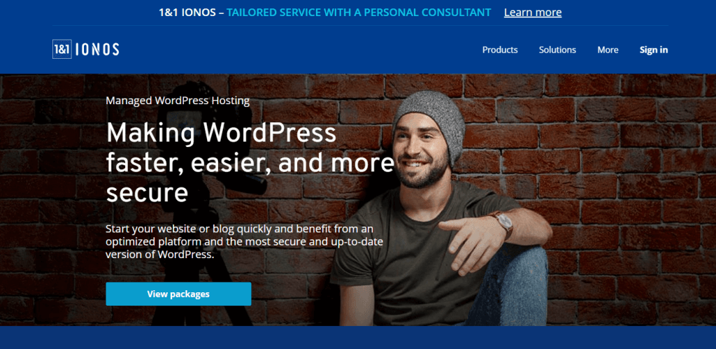 Ionos - WP hosting