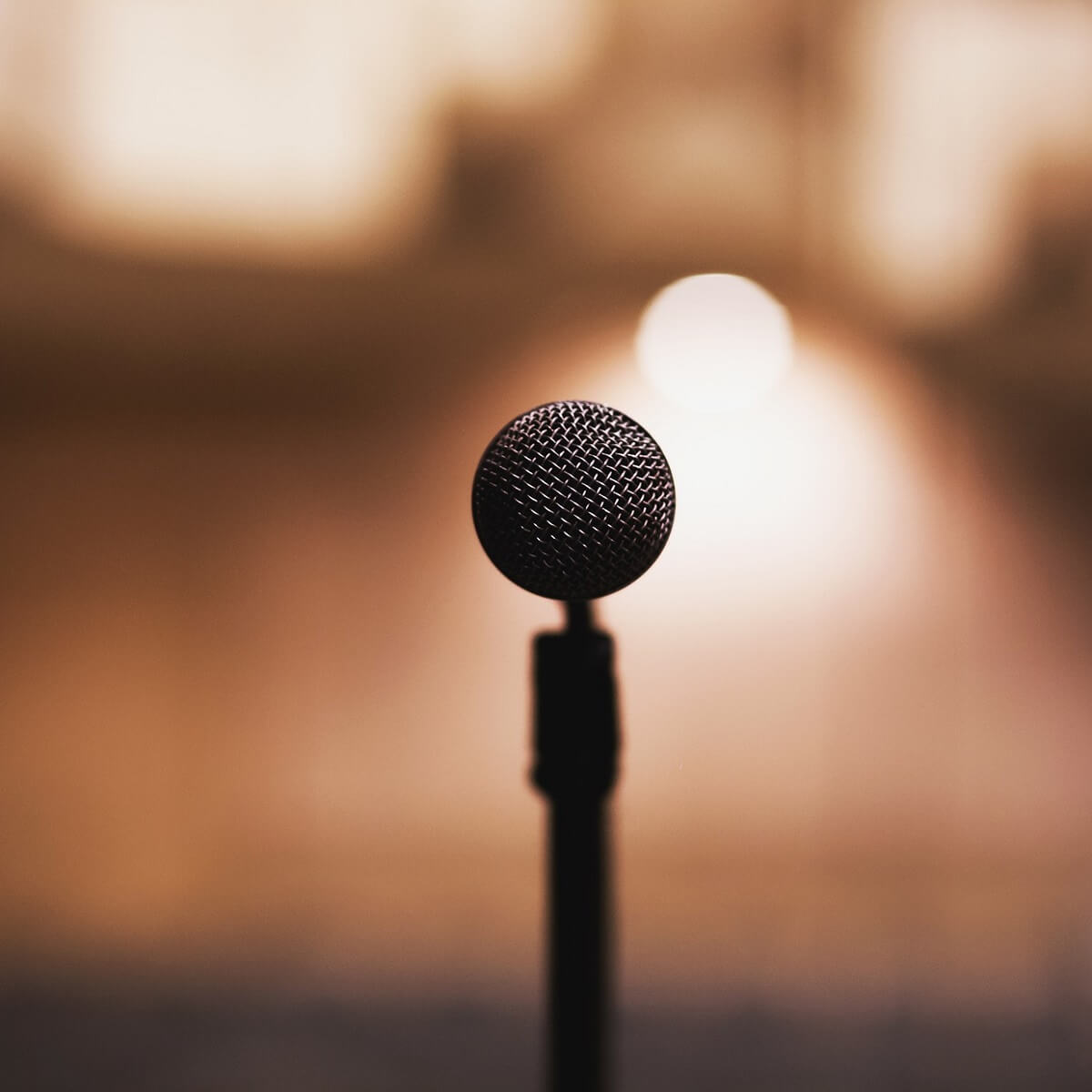 best software to change your voice on Windows