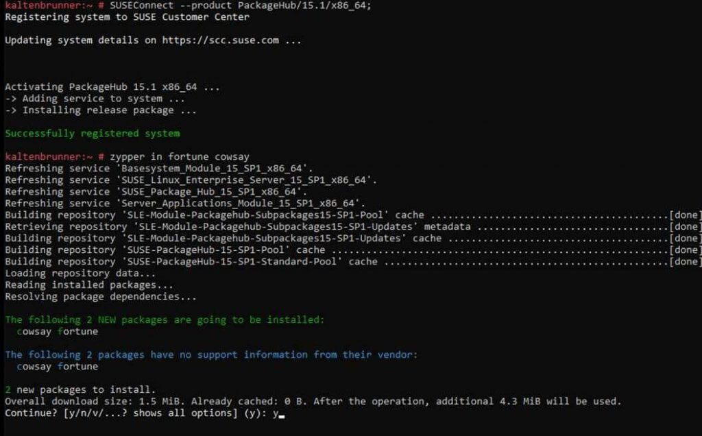 Register SUSE Linux Enterprise Server 15 SP1