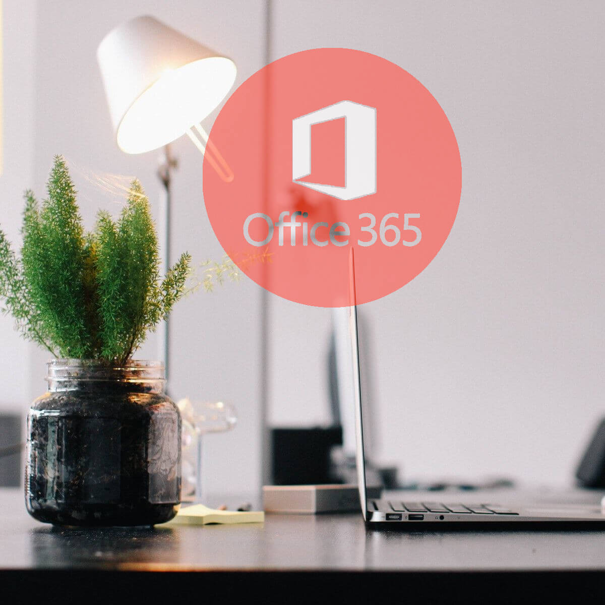 3 ways to recover Microsoft Office files deleted by Windows update