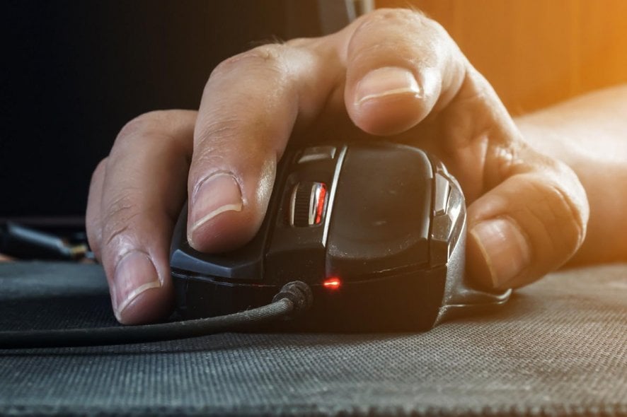 Best Zowie deals to get