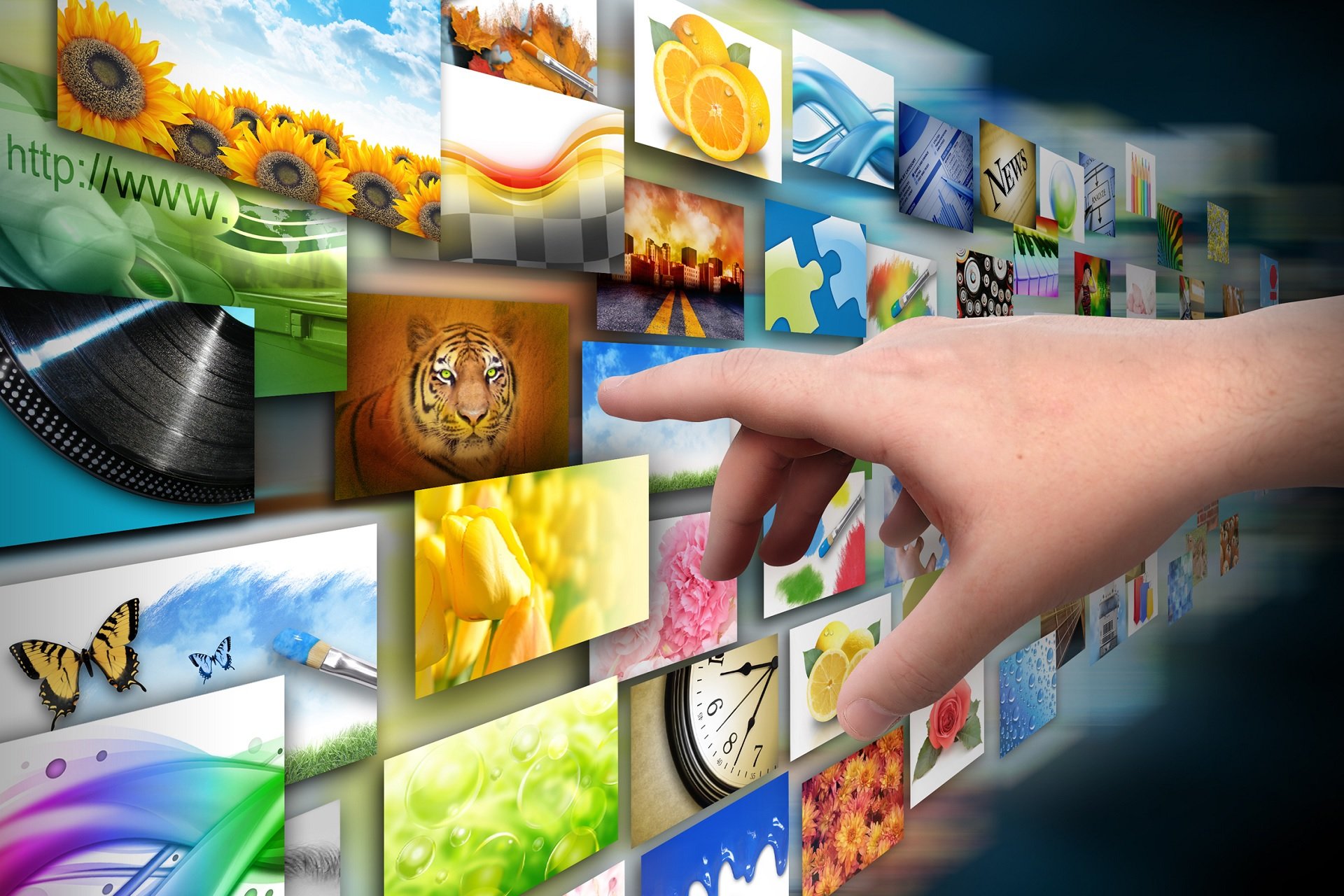 Best tools to recover deleted photos from your SD card