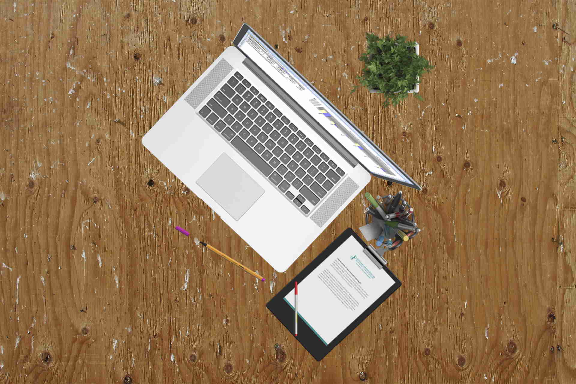 Best debt management software