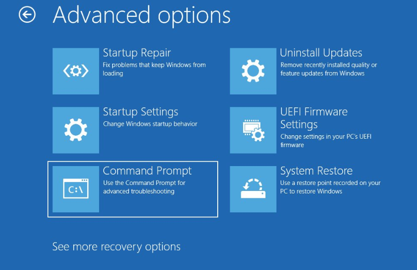 registry error advanced options