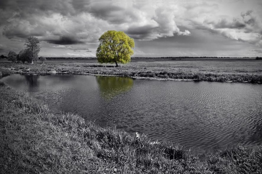 colorize black and white photos