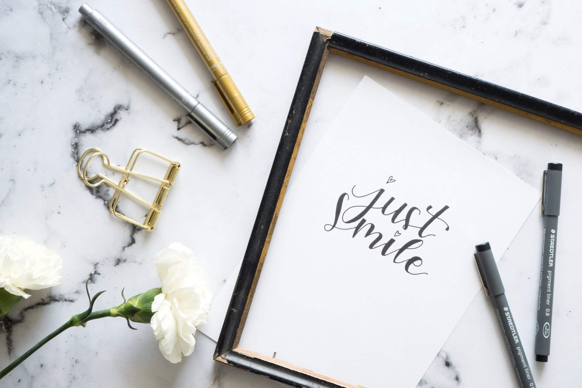 Best Software for calligraphy
