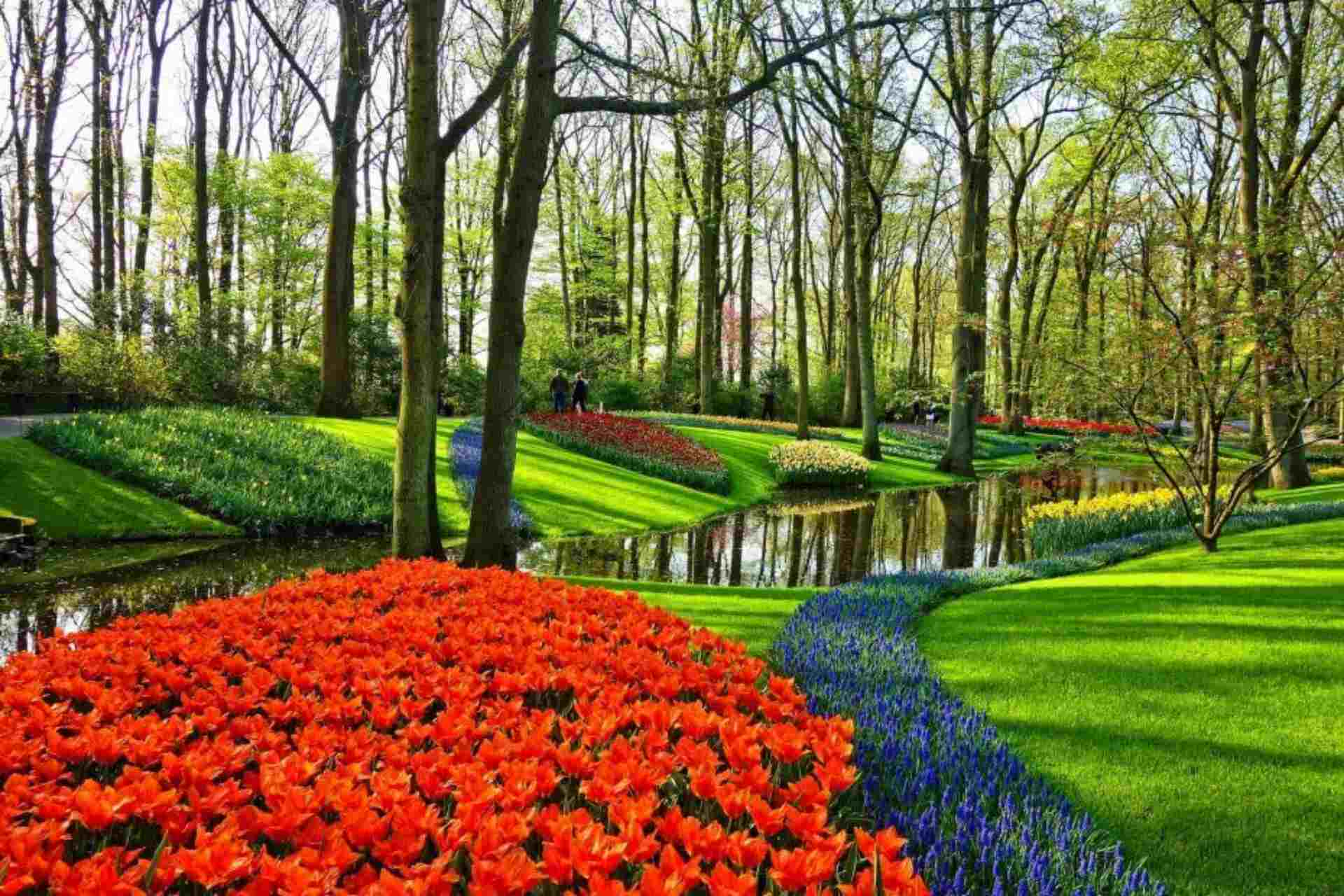 garden design software