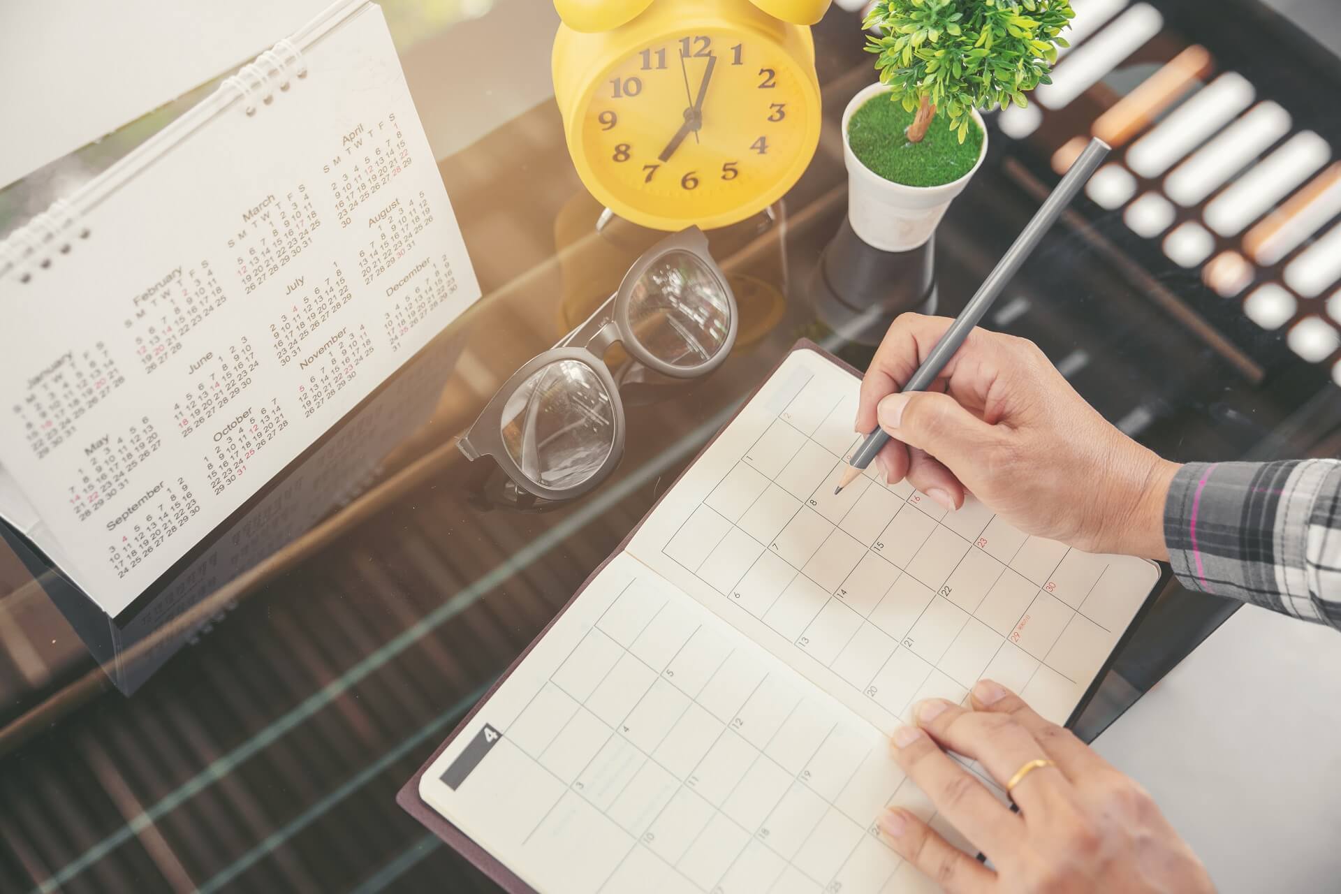 personal organizer software
