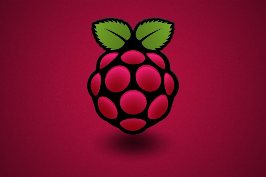 password not working raspberry pi