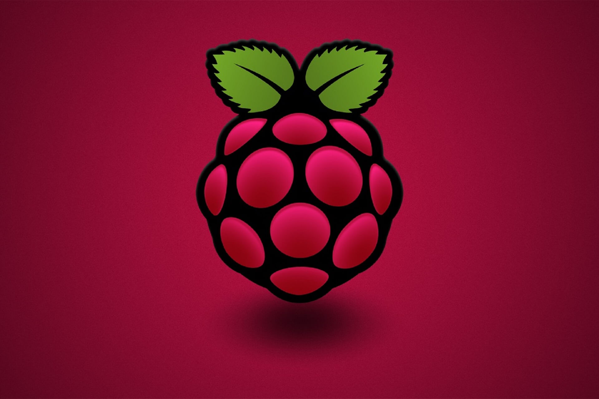 password not working raspberry pi