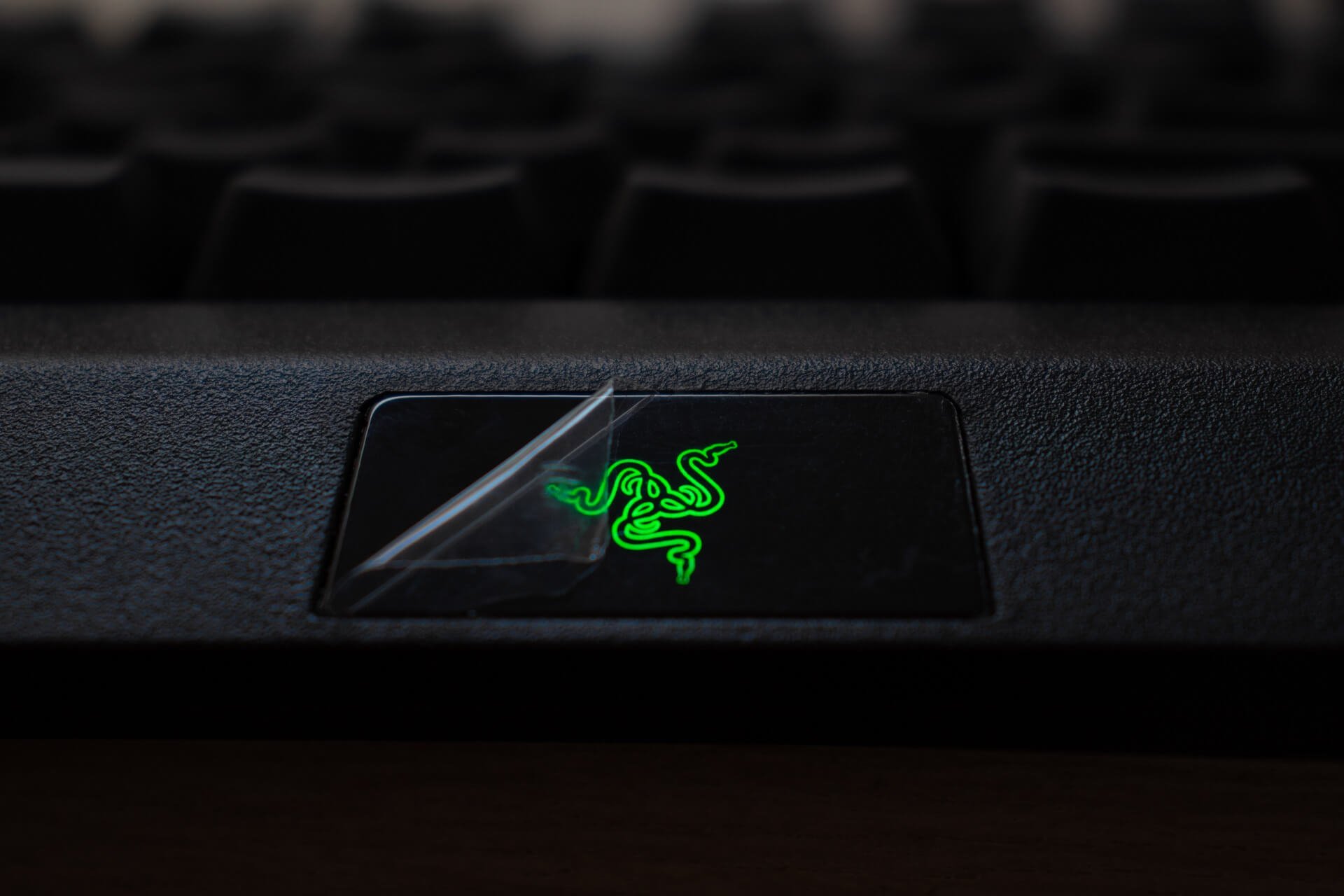 Razer Synapse not detecting anything