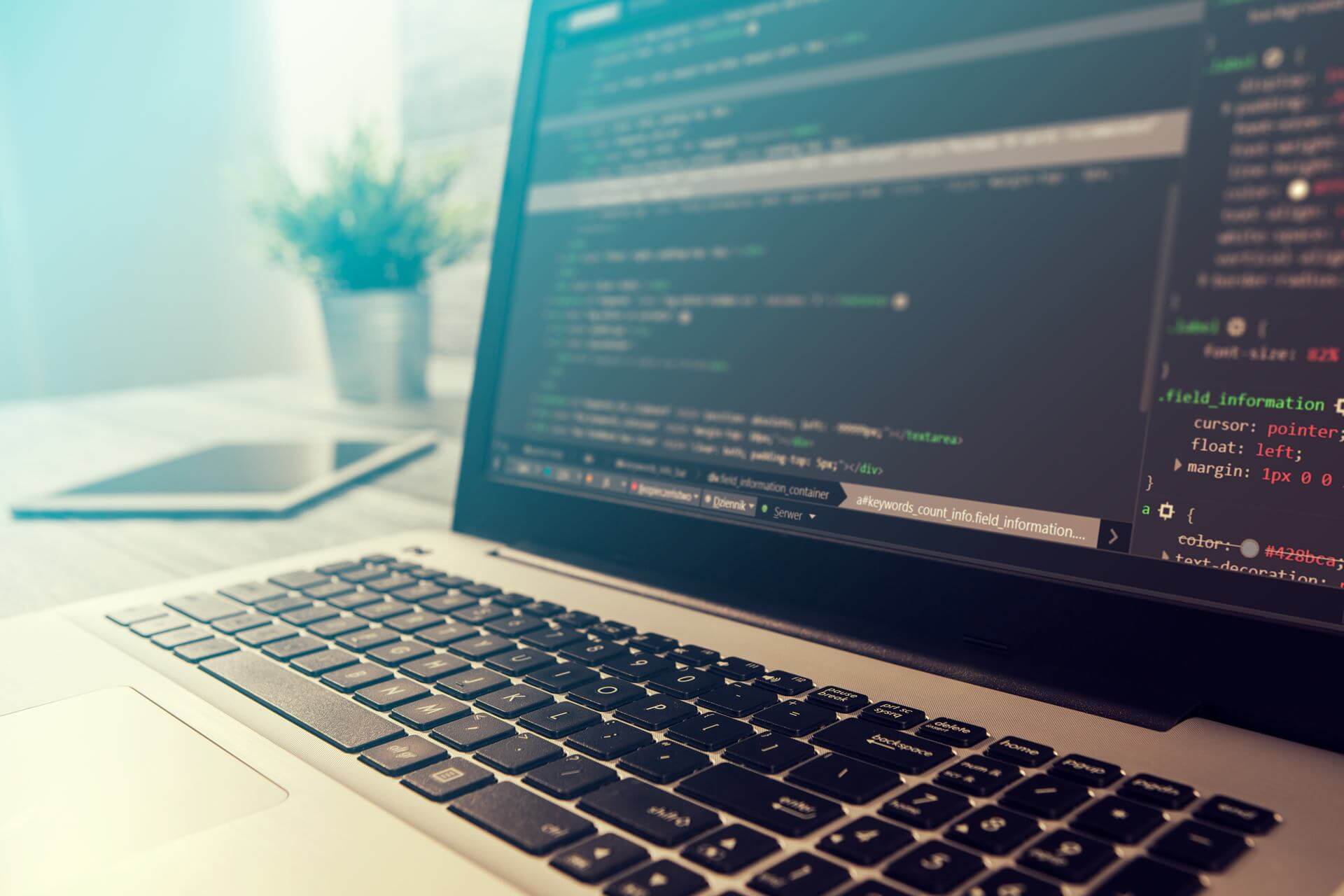 Python browser