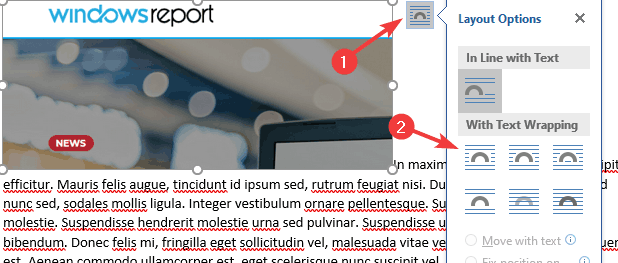 layout options tab word