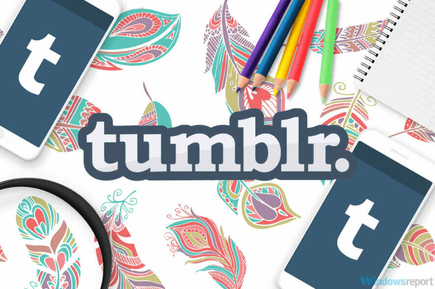 turn off tumblr best stuff first