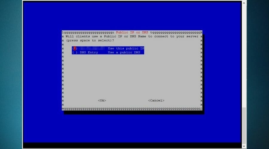 Static IP or DNS PiVPN