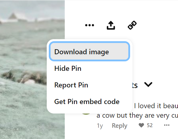 download pinterest image button