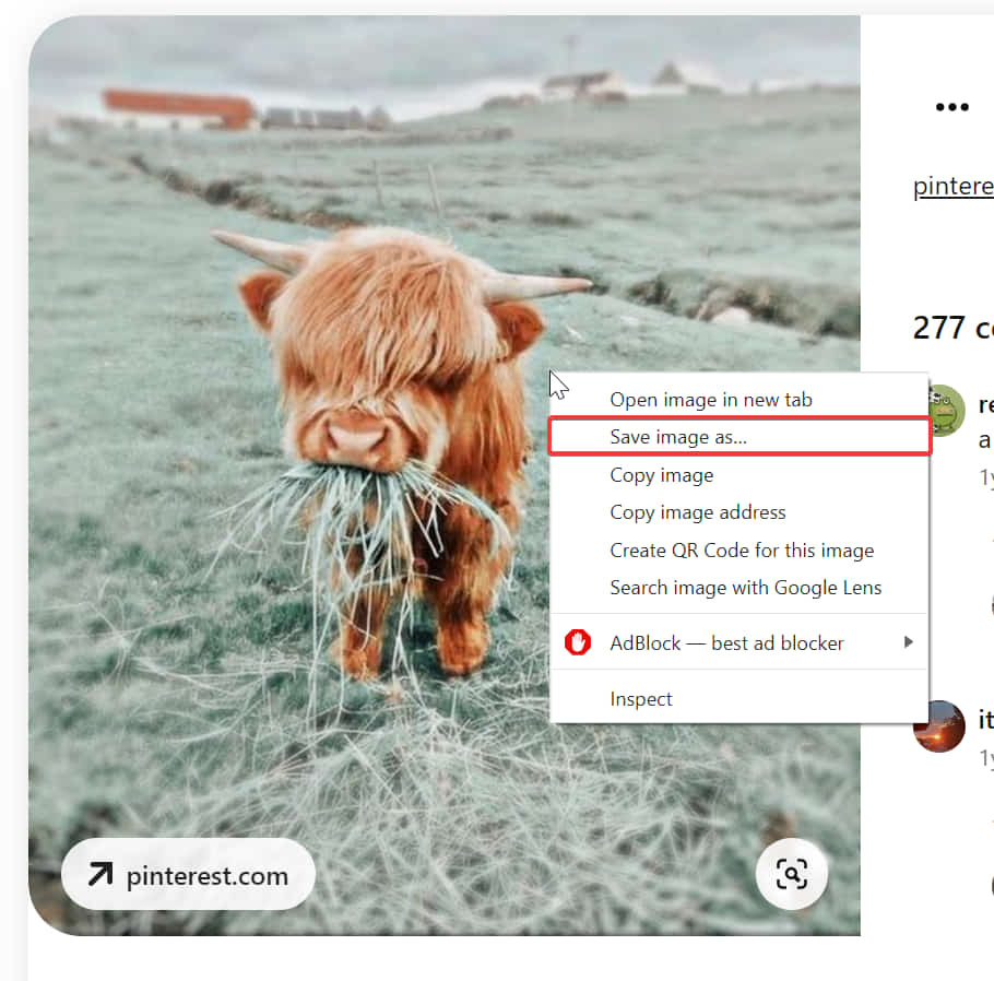 click on the save image as option