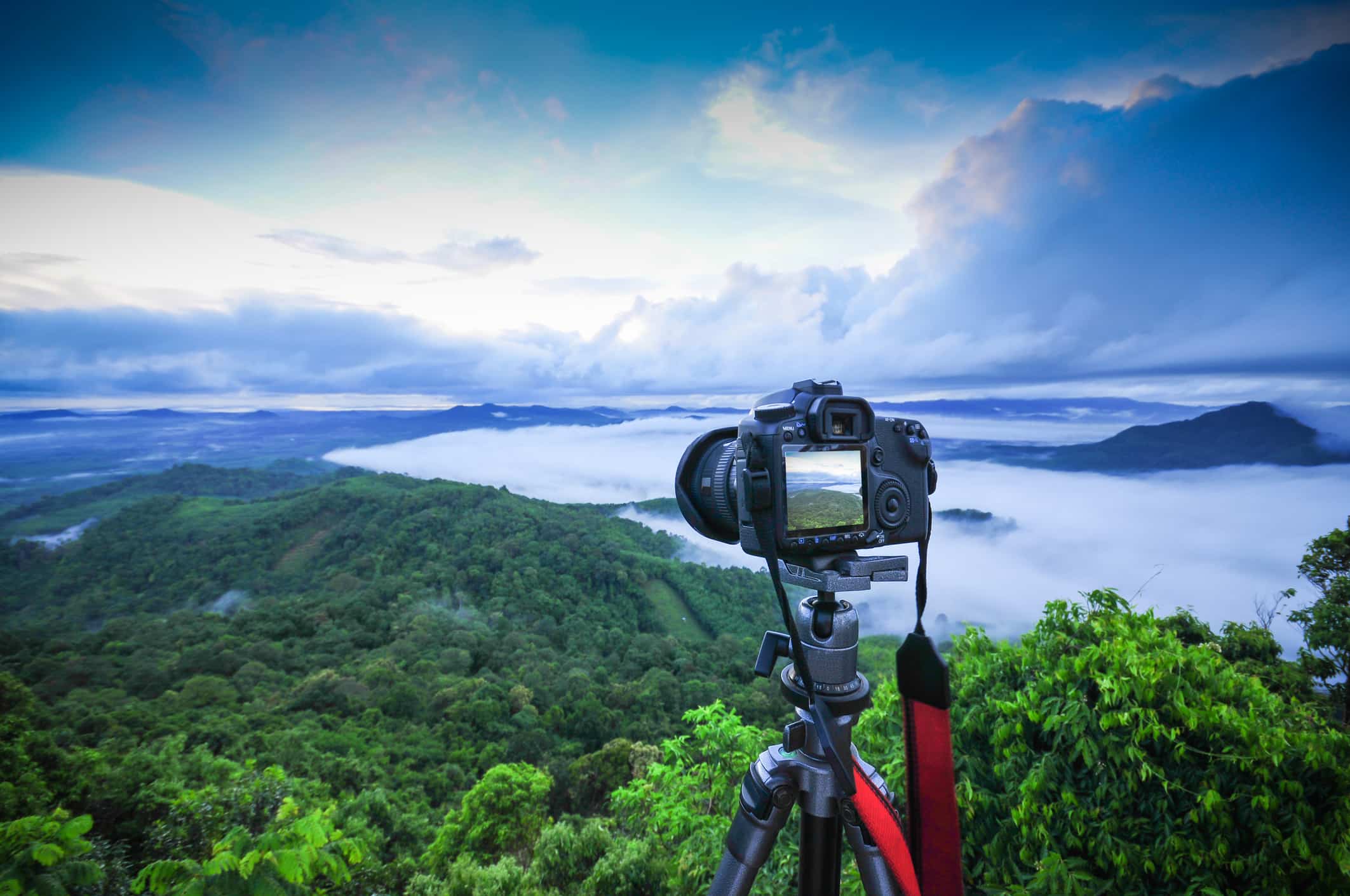 best camera for amateur