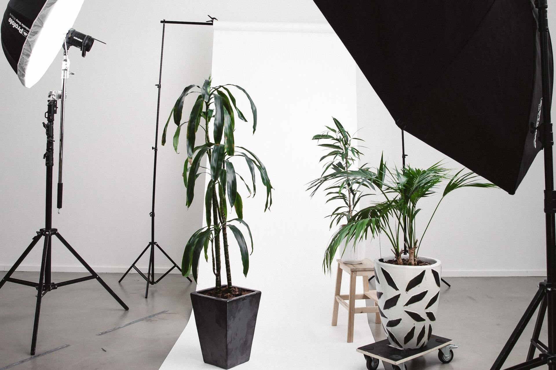 best mini photo studio box
