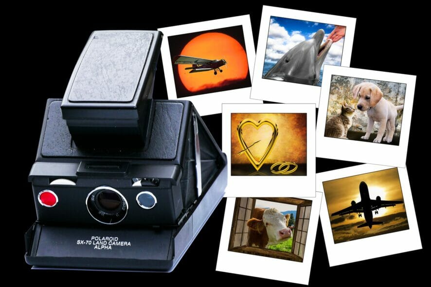 instant cameras