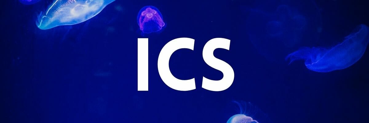 ICS