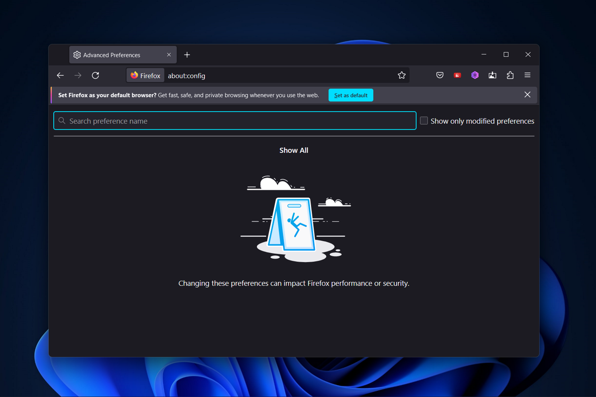 firefox-w11 flash game lag