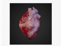 INSIGHT HEART