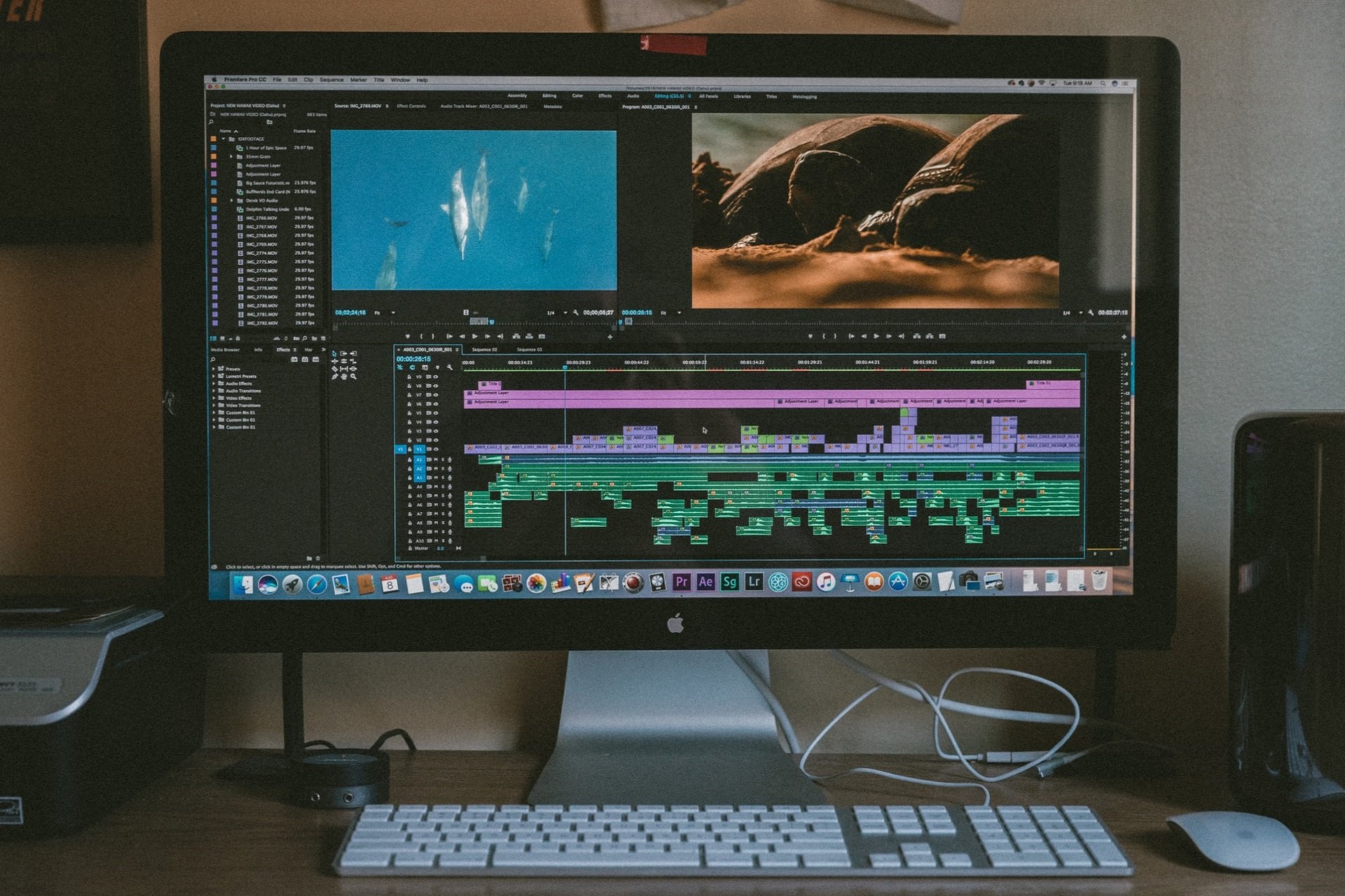 Here are the best photo-editing software for Windows 10