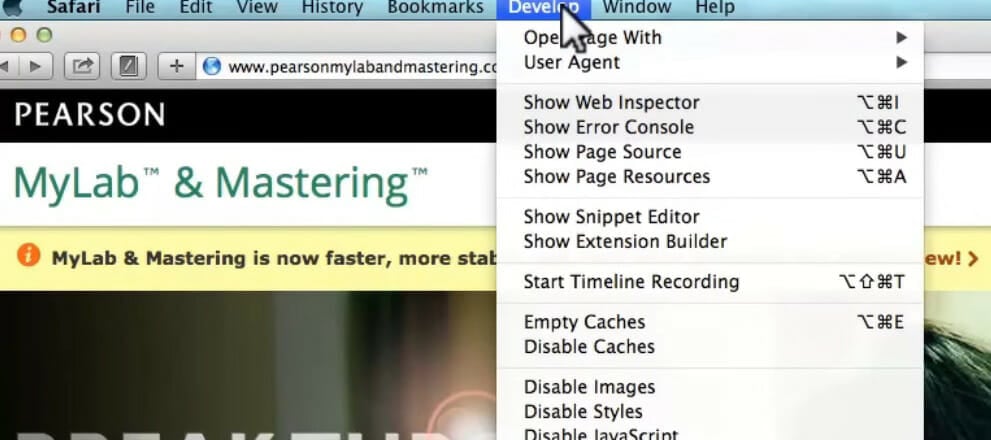 Develop menu facebook videos not playing in chrome