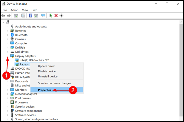 display adapters windows 10