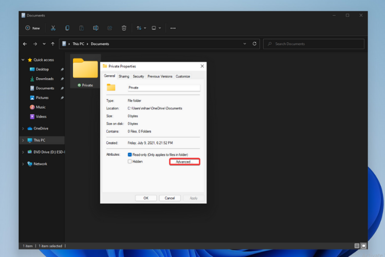 Folder - Properties - Advanced