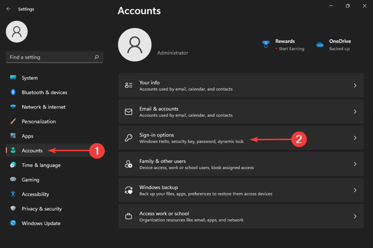 sign in options windows 11