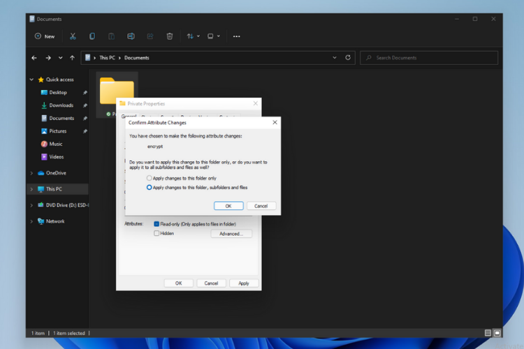 choose which files to encrypt