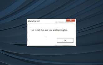fix this is not the exe you are looking for error