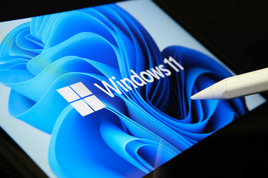 windows 11 survey users go for touch devices