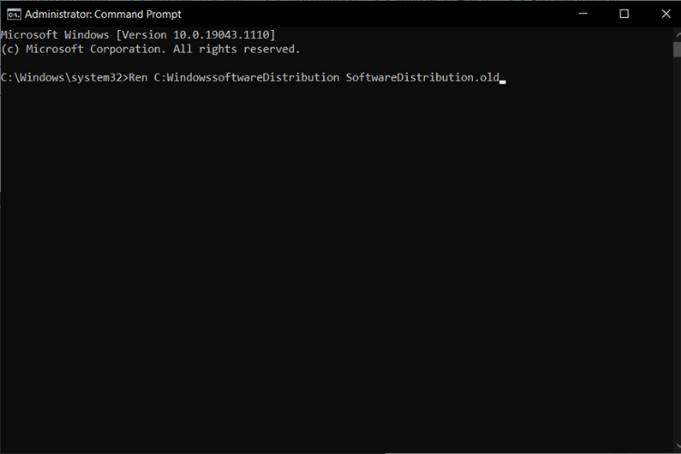windows software distibution