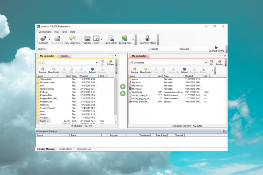 What are the Best Automated FTP Software