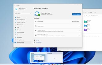 check windows 11 versionn